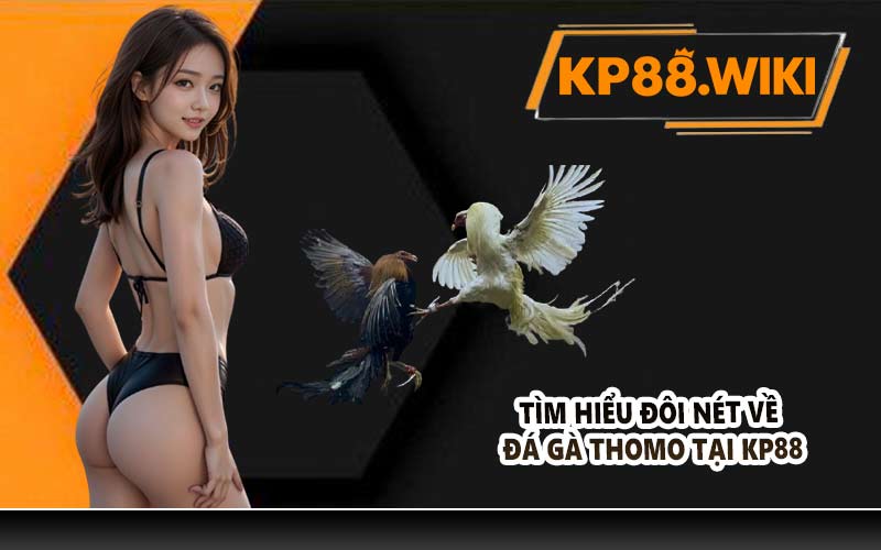 Tìm hiểu đôi nét về đá gà Thomo tại KP88