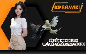 Ưu điểm khi xem link trực tiếp đá gà Thomo tại KP88
